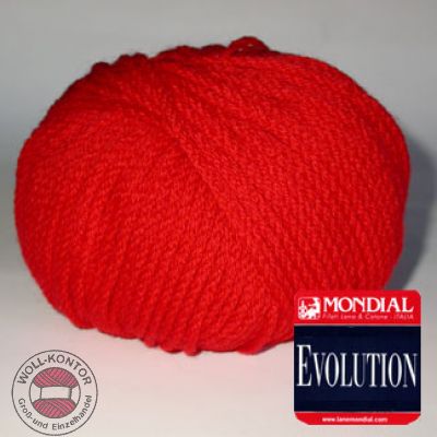 Evolution (Mondial)
