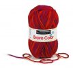 Bravo Color (Schachenmayr)