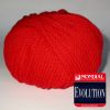 Evolution (Mondial)