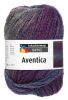 Aventica (Schachenmayr)